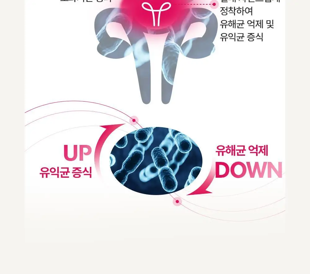 [호빵맨콜라보] 이너플로라 질유산균 60캡슐+호빵맨 스티커 상세페이지 21